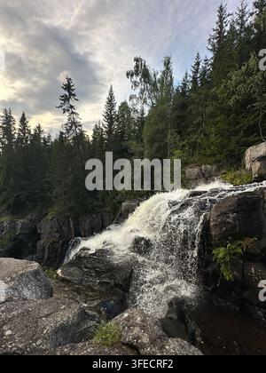 Stürzender Wasserfall inmitten eines dichten Nadelwaldes nahe Lillehammer, Innlandet, Norwegen. Wasser stürzt über dunkle Felsformationen, umgeben von hohen Tannen Stockfoto