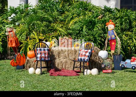 Festlicher Herbsternte-Hintergrund auf einem Rasen mit Heuballen, Vogelscheuchen, Kürbissen, schwarzen Stühlen mit Büffelkaro-Kissen und üppigem grünem Tropenflair Stockfoto