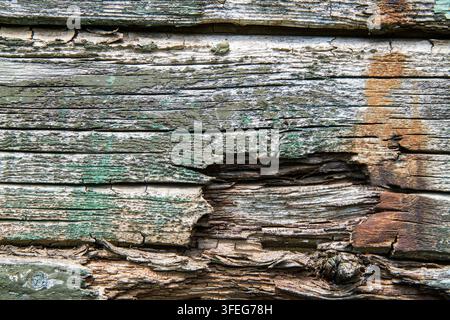 Alte verrottete Holzbretter. Die Textur von altem rissigem Holz. Stockfoto