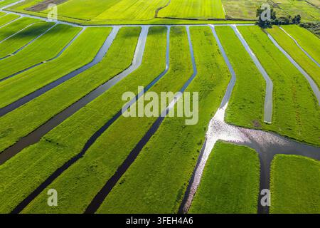 Üppige grüne Felder erstrecken sich über Zoeterwoude, wobei sich gewundene Wasserwege im Sonnenlicht spiegeln und eine ruhige Landschaft schaffen. Stockfoto