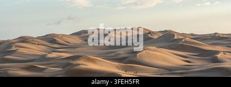 Goldenes Licht auf sanften Wüstensanddünen im Panoramabild der Sahara Stockfoto
