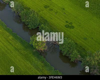 Grüne landwirtschaftliche Felder und ein ruhiger Fluss, aus der Luft aufgenommen, zeigen natürliche Grenzen und Bäume entlang des Wassers Stockfoto