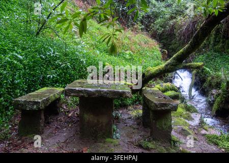 Ein rustikaler Stein-Picknicktisch und Bänke, bedeckt mit weichem grünen Moos, gelegen in einem üppigen, dichten Wald. Ein schnell fließender Gebirgsbach stürzt über Felsen Stockfoto