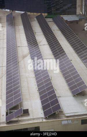 Luftaufnahme von Solarmodulen, die auf einem flachen Industrie-Dach installiert sind, Reihen von Photovoltaik-Panelen für die Erzeugung erneuerbarer Energie in einer städtischen Umgebung Stockfoto