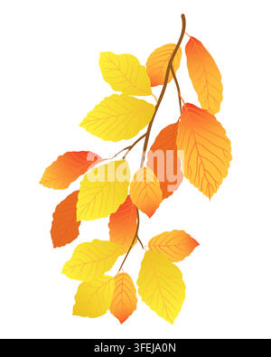 Ahornast im Herbst. Orange und gelbe Ulmenblätter fallen im Frühherbst. Vektorillustration des Laubes falls. Illustration für saisonale Rabatte und Angebote. Hängender Ulmenast. Stock Vektor