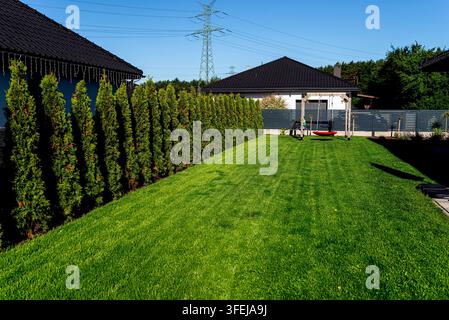 Grün gemähter Rasen mit einer Thuja-Hecke, die Privatsphäre für einen Wohnhof schafft Stockfoto