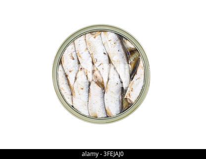 Dose Sardinenfilets mit Öl in einer runden offenen Dose auf weißem Hintergrund. Stockfoto