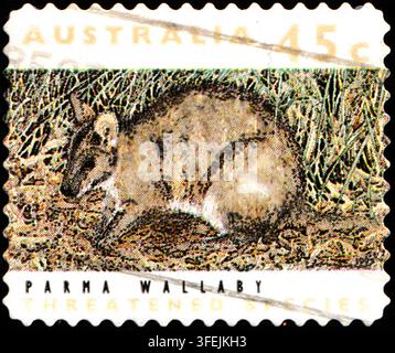 Australien: 1992 45c Briefmarke, die das vom Aussterben bedrohte Parma-Wallaby zeigt Stockfoto