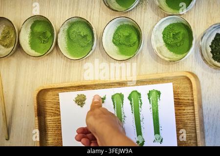Hand, die die Qualität von Matcha-Grünteepulver vergleicht Stockfoto