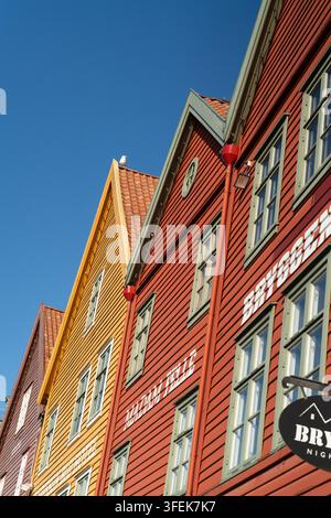 Eine Möwe sitzt auf historischen Holzdächern im Bryggen-Hansa-Viertel in Bergen, Norwegen, und präsentiert die ikonische Hansische Architektur. Stockfoto