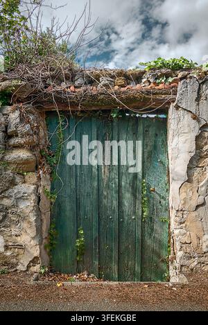 Rustisches grünes Holztor, das in eine alte rissige Mauer eingelassen ist, mit überhängender Vegetation und Moos. Stockfoto