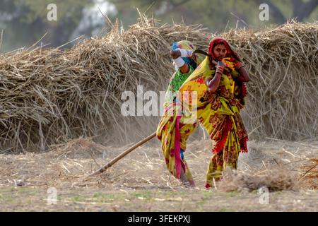 Nagarparkar, Sindh, Pakistan – 23. Dezember 2019: Blick auf zwei Frauen in traditioneller farbenfroher Kleidung, die auf einem Feld mit geernteten Ernten arbeiten, eine hält Stockfoto