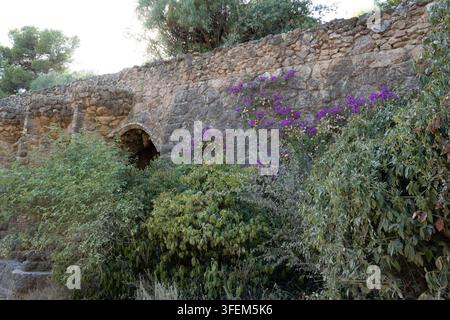 Eine verwitterte Mauer füllt den Rahmen, überragt von Bäumen und bedeckt mit kletternder Bougainvillea. Dichte Vegetation umgibt eine dunkle gewölbte Nische, was darauf hindeutet Stockfoto