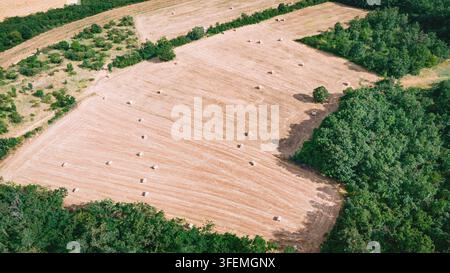Luftbild zeigt abgeerntete landwirtschaftliche Felder, die mit Strohballen übersät sind, begrenzt von grünen Wald Bäumen unter natürlichem Licht Stockfoto