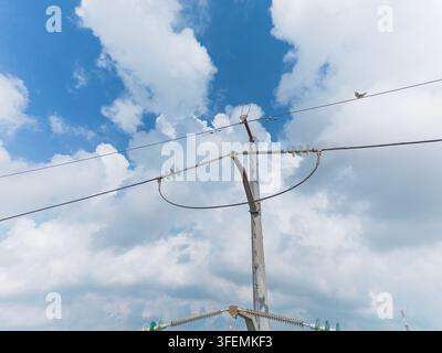 Hochspannungsstromleitungsanschlüsse und Isolatorbefestigungen oben auf dem Strommast, Nahaufnahme, die Stromkabelverbindungen, Sicherheitszug und Härte zeigen Stockfoto