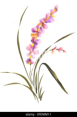 Zarte Lavendel-Orchideenblüten mit schlanken grünen Blättern, im traditionellen asiatischen Aquarellstil auf weißem Hintergrund gemalt. Stockfoto