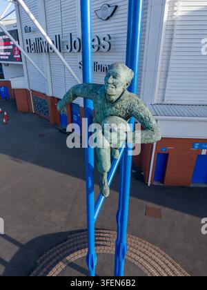 Luftaufnahme der Brian-Bevan-Statue, Halliwell-Jones-Stadion, Heimstadion der Warrington Wolves, ein Rugby-League-Stadion in Warrington, England. Stockfoto
