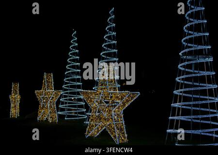 Beleuchtete Sterne und Weihnachtsbäume vor dunklem Nachthimmel Stockfoto