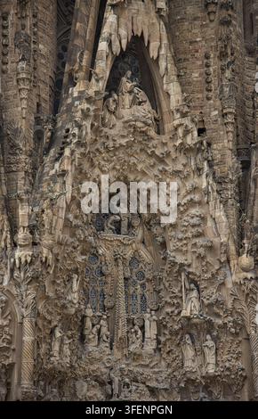 Gotisches skulpturales Detail der Kathedrale von Barcelona, Katalonien, Spanien Stockfoto