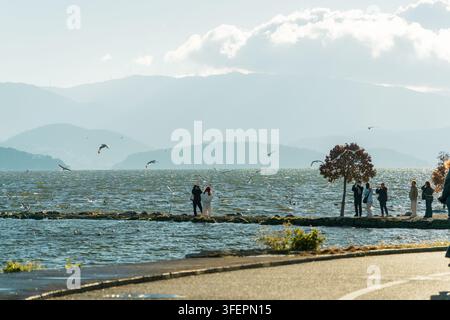 Schwarm von Möwen, der über Besuchern am See wirbelt, Erhai-See, Dali Stockfoto