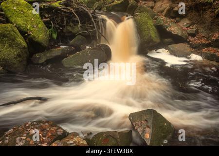 Atemberaubende, lebendige Herbstlandschaft von Padley Gorge im Peak District, England Stockfoto