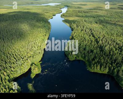 Luftbild eines sich windenden Flusses durch üppige Kiefernwälder in Vaattunkiköngäs, Lappland, Finnland, das die unberührte arktische Wildnis hervorhebt Stockfoto