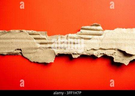 Zerrissener und zerkleinerter Streifen aus brauner Wellplatte, der seine innere Textur zeigt, vor einem lebhaften, hellroten Papierhintergrund. Großartig für Kopie s Stockfoto