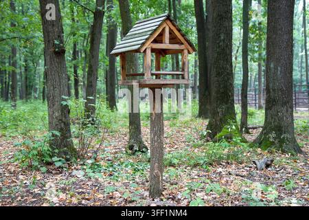 Futterstation für Eichhörnchen im Park. Holzfutterstation für Tiere vor dem Hintergrund von Bäumen. Stockfoto