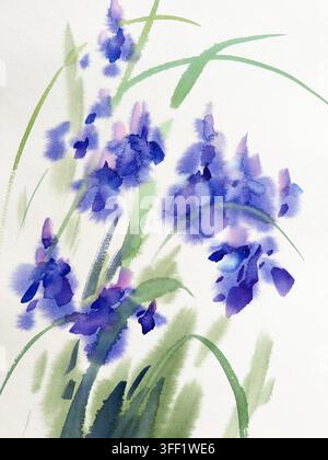 Violette Schwertlilienblüten auf weißem Hintergrund Aquarellskizze Stockfoto