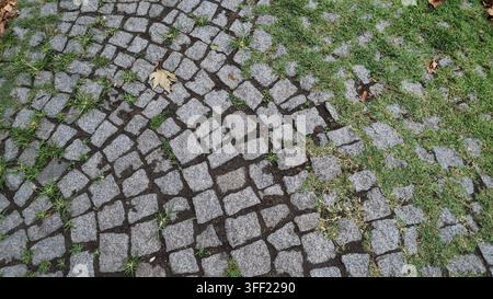 Steg mit Gras und Blättern in städtischem Gebiet Stockfoto