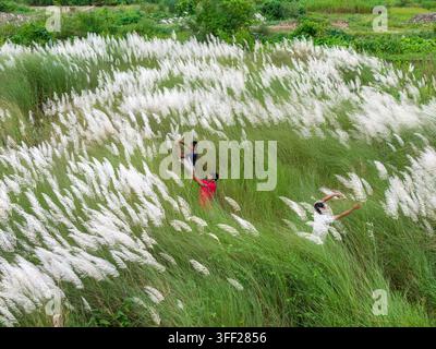Chattogram, Chittagong Division, Bangladesch – 27. August 2026: Luftaufnahme von drei Jungen, die zwischen hohen weißen Kash-Phool-Schilf im üppigen grünen Feld spielen Stockfoto