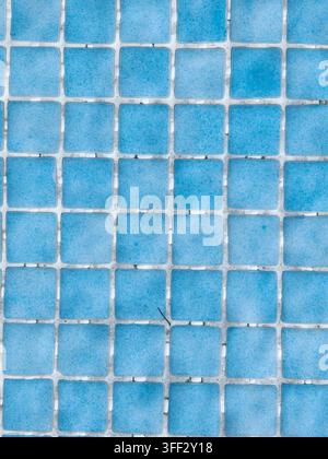 Blaue quadratische Fliesen mit weißen Fugen, die ein sich wiederholendes geometrisches Mosaikmuster bilden, geeignet für Hintergründe oder als Designelement für Schwimmbäder Stockfoto