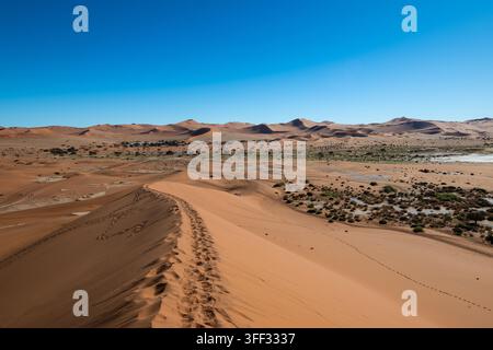 Das Bild fängt den Aufstieg zur Big Daddy Düne in Sossusvlei, Namibia, ein. Luftaufnahme der weiten Landschaft der Namib-Wüste mit hoch aufragenden Sanddünen Stockfoto