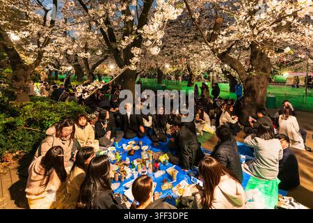 Gruppe von Menschen auf einer Kirschblütenparty, die unter beleuchteten Kirschbäumen während des Hanami im Ueno-Park, der für seine Kirschblütenbäume bekannt ist, ein Picknick machen Stockfoto