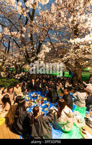Menschen genießen Kirschblütenfeste, haben Picknicks unter beleuchteten Kirschbäumen während Hanami im Ueno-Park, der für seine Kirschblütenbäume bekannt ist. Stockfoto