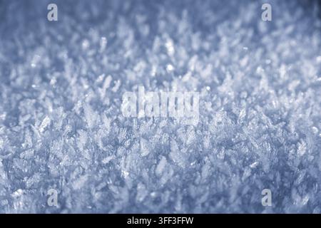 Horizontale Makrofotografie von kunstvollen fedrigen Schneekristallen und weicher eisiger Textur mit sanftem blauem Licht. Stockfoto