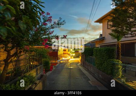 Rote Blumen und orangefarbenes Licht von Hauslampen in einer ruhigen Wohnstraße im Morgengrauen Stockfoto