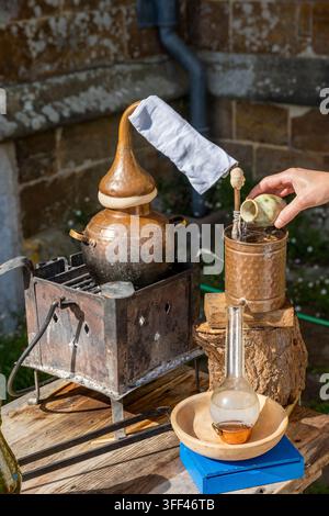 Traditioneller Kupferalembik und Brauequipment, der zur Herstellung von Kräutertinkturen, Tränken und Lotionen in einer historischen Apothekenumgebung verwendet wird. Stockfoto