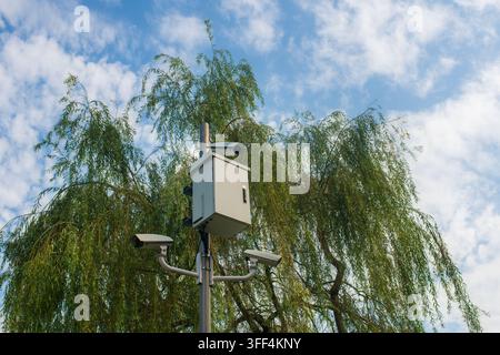 Sicherheits-CCTV-Kameras mit Metallverteilungsdose, montiert an einem Pfahl vor einer grünen Trauerweide und blauem Himmel mit Wolken, Sicherheit und städtische Überwachung Stockfoto