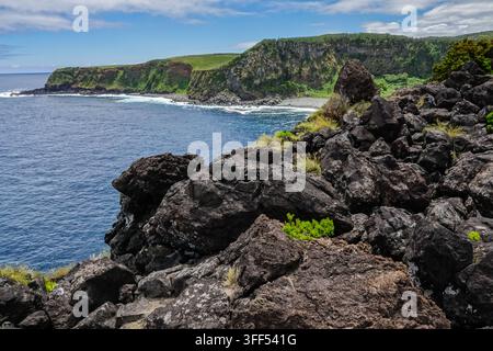 AGUALVA, TERCEIRA, AZOREN, PORTUGAL: Eine Hochwinkel-Landschaftsaufnahme zeigt die dramatischen Küstenklippen der Lava-Küste (Costa de Lava), wie sie vom Miradouro da Alagoa aus zu sehen sind. Die alten vulkanischen Gesteinsformationen zeigen ausgeprägte, vertikale Säulenbasalt-Spalten, die von historischen Lavaströmen geformt wurden, die schnell am Meer abkühlten. Unten schlagen die tiefblauen Gewässer des Nordatlantiks heftig gegen die rauen, dunklen Küstenlinien dieses einzigartigen geologischen Geotops entlang der Nordküste der Insel in der Nähe des geschützten Gebiets Baías da Agualva. Stockfoto