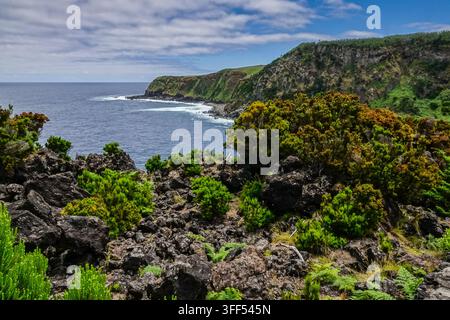 AGUALVA, TERCEIRA, AZOREN, PORTUGAL: Eine Hochwinkel-Landschaftsaufnahme zeigt die dramatischen Küstenklippen der Lava-Küste (Costa de Lava), wie sie vom Miradouro da Alagoa aus zu sehen sind. Die alten vulkanischen Gesteinsformationen zeigen ausgeprägte, vertikale Säulenbasalt-Spalten, die von historischen Lavaströmen geformt wurden, die schnell am Meer abkühlten. Unten schlagen die tiefblauen Gewässer des Nordatlantiks heftig gegen die rauen, dunklen Küstenlinien dieses einzigartigen geologischen Geotops entlang der Nordküste der Insel in der Nähe des geschützten Gebiets Baías da Agualva. Stockfoto