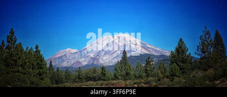 Mächtiger schneebedeckter Mount-Shasta-Gipfel, eingerahmt von Kiefernwald unter klarem blauem Himmel Stockfoto