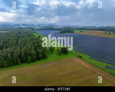 Luftbild einer großen Solarfarm und Photovoltaik-Paneele neben einem Wald unter einem dramatischen bewölkten Himmel Stockfoto