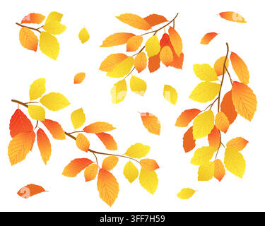 Set aus Herbst-Buchenast. Orange und gelbe Ulmenblätter fallen im Frühherbst. Vektorillustration des Laubfalls. Illustration für saisonale Rabatte und Angebote. Stilisierter Buchenast. Cartoon-Stil. Stock Vektor