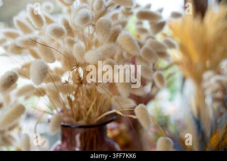 Ein getrocknetes Blumenarrangement aus Gras in einer Vase, weiche natürliche Stillleben, warme Textur, sanfte See in brauner Vase mit flauschigem Stiel, neutraler Ton, luftige Wohnraumdeko Stockfoto