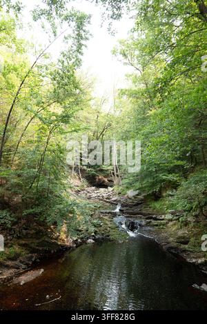 Kleine Kaskaden fließen über dunkle Felsen in einen Waldteich in Hoegne Ardennen Belgien, umgeben von grünem Sommerwald und natürlicher Landschaft, geeignet für Hi Stockfoto