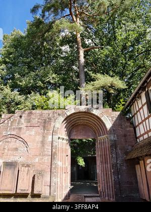 Sonnenbeschienener mittelalterlicher Steineingangsbogen in Bad Herrenalb mit verwittertem Mauerwerk und geschichteten halbrunden Archivolten, umgeben von hohen Kiefern- und Eichenbeständen Stockfoto