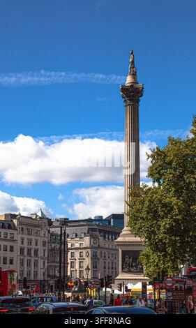 Nelson's Column am Trafalgar Square, Central London, England, UK. Stockfoto