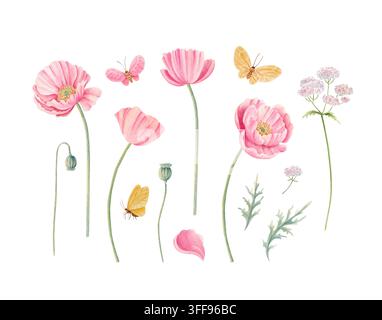 Aquarellhandgezeichnetes Set aus zarten pinken Mohnblumen, Mohnkapseln, Stängeln, Blättern, Schafgarbe und Schmetterlingen in weichen Pastellfarben. Stockfoto