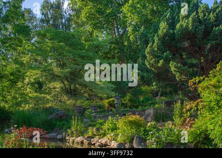 Japanische Garteninsel, Regents‘ Park, London, Sommer. Japanische Gärten in London Stockfoto